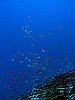 IMG_3593.JPG