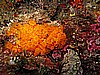 IMG_3594.JPG