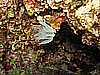 IMG_3597.JPG
