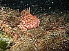 IMG_3603.JPG