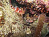 IMG_3606.JPG