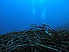 IMG_3607.JPG