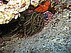 IMG_3612.JPG
