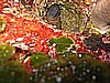 IMG_3613.JPG