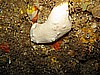 IMG_3618.JPG