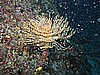 IMG_3621.JPG