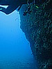 IMG_3623.JPG