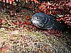 IMG_3625.JPG