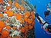 IMG_3627.JPG