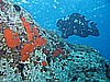 IMG_3632.JPG