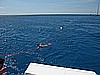 IMG_3655.JPG