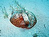 IMG_3676.JPG