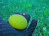 IMG_3682.JPG