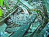 IMG_3684.JPG