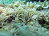 IMG_3688.JPG