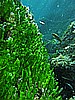 IMG_3691.JPG