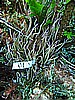 IMG_3692.JPG