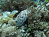 IMG_3698.JPG