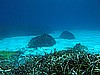 IMG_3701.JPG