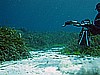 IMG_3705.JPG