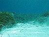 IMG_3707.JPG