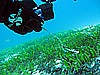 IMG_3712.JPG