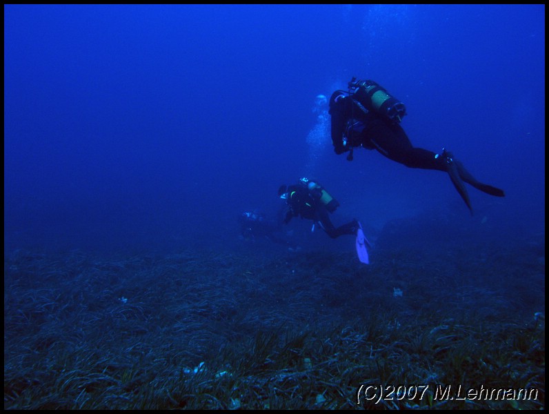 IMG_3769.JPG