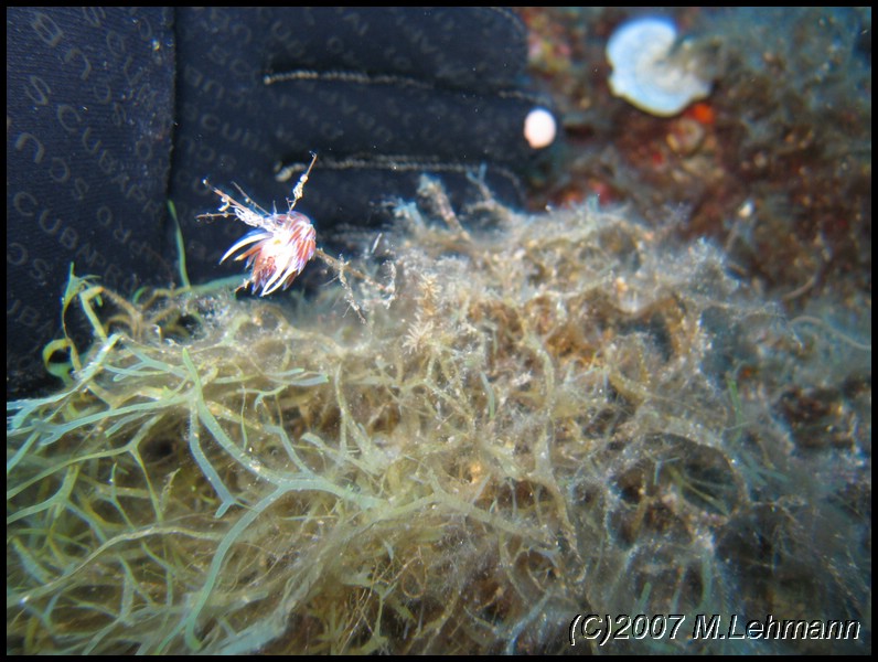IMG_3789.JPG