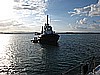 IMG_3731.JPG