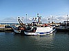 IMG_3737.JPG