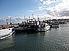 IMG_3738.JPG