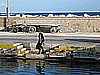 IMG_3741.JPG
