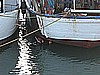 IMG_3743.JPG
