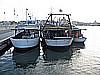 IMG_3744.JPG