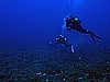IMG_3769.JPG