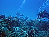IMG_3777.JPG