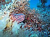 IMG_3778.JPG