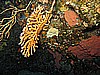 IMG_3783.JPG