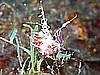 IMG_3788.JPG