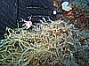 IMG_3789.JPG