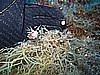 IMG_3790.JPG