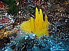 IMG_3795.JPG