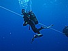 IMG_3804.JPG