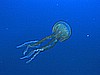 IMG_3806.JPG