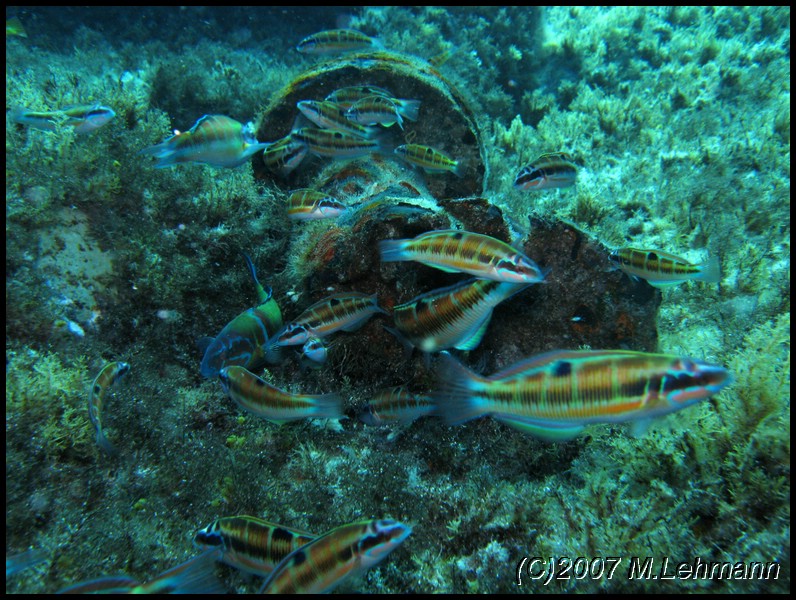 IMG_3930.JPG