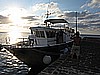 IMG_3822.JPG