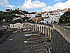 IMG_3829.JPG