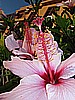 IMG_3832.JPG