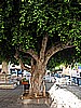 IMG_3838.JPG