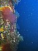 IMG_3857.JPG